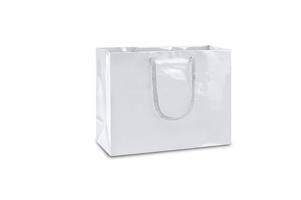 Sri Balaji Paper Bag Manufacturers Solid Party Bag Price in India  Buy Sri  Balaji Paper Bag Manufacturers Solid Party Bag online at Flipkartcom