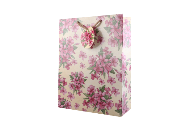Return Gift Paper Bag  WBG0998  WBG0998 at Rs 2900  Gifts for all  occasions by Wedtree